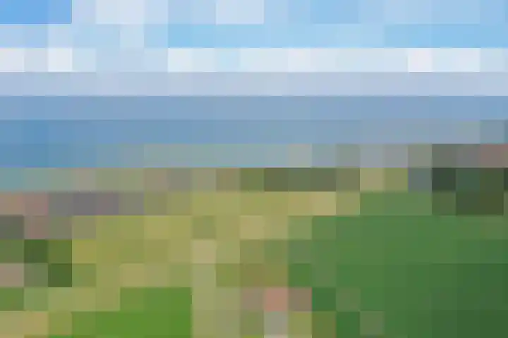 Klaverweg 3 Colijnsplaat thumbnail 77