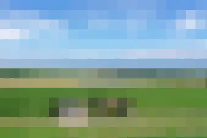 Klaverweg 3 Colijnsplaat thumbnail 78