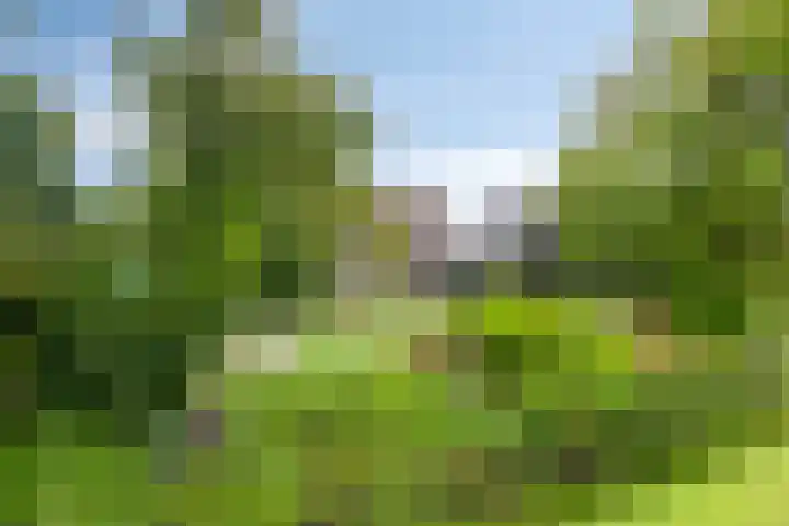 Klaverweg 3 Colijnsplaat thumbnail 8