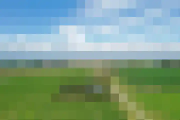 Klaverweg 3 Colijnsplaat thumbnail 80