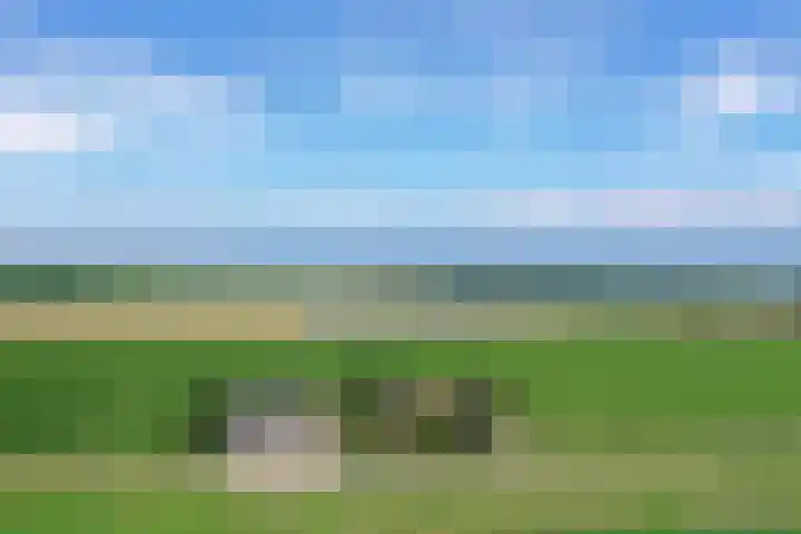 Klaverweg 3 Colijnsplaat thumbnail 81