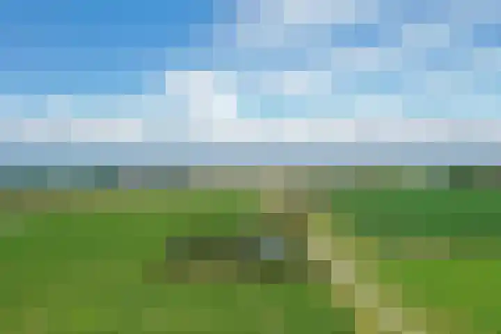 Klaverweg 3 Colijnsplaat thumbnail 82