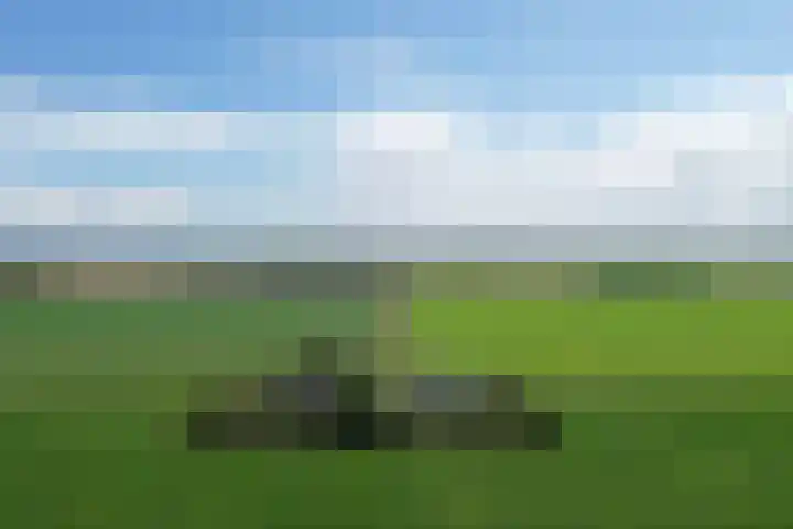 Klaverweg 3 Colijnsplaat thumbnail 83