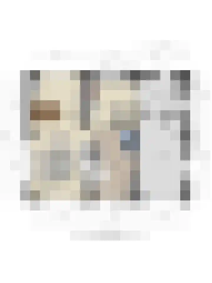 Klaverweg 3 Colijnsplaat thumbnail 84