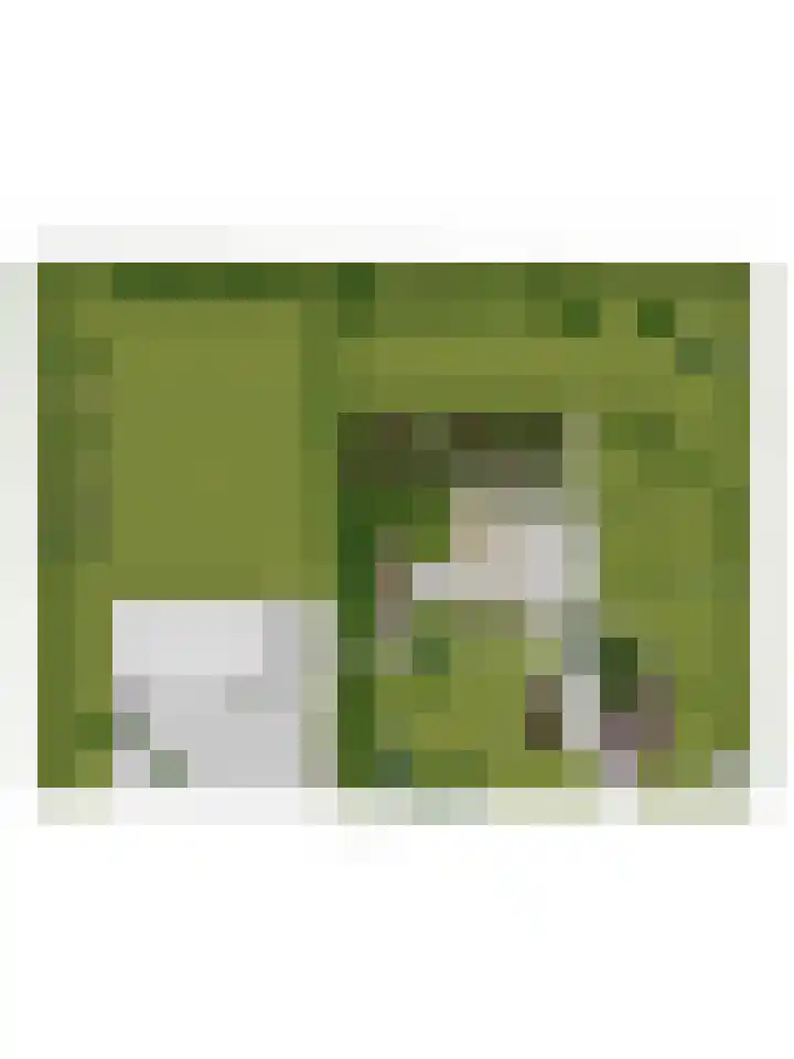 Klaverweg 3 Colijnsplaat thumbnail 85