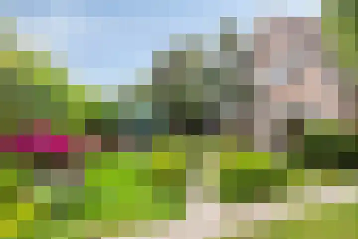 Klaverweg 3 Colijnsplaat thumbnail 9