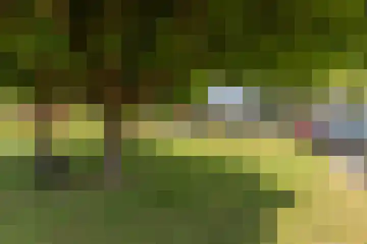 Klaverweg 32 Zaandam thumbnail 30