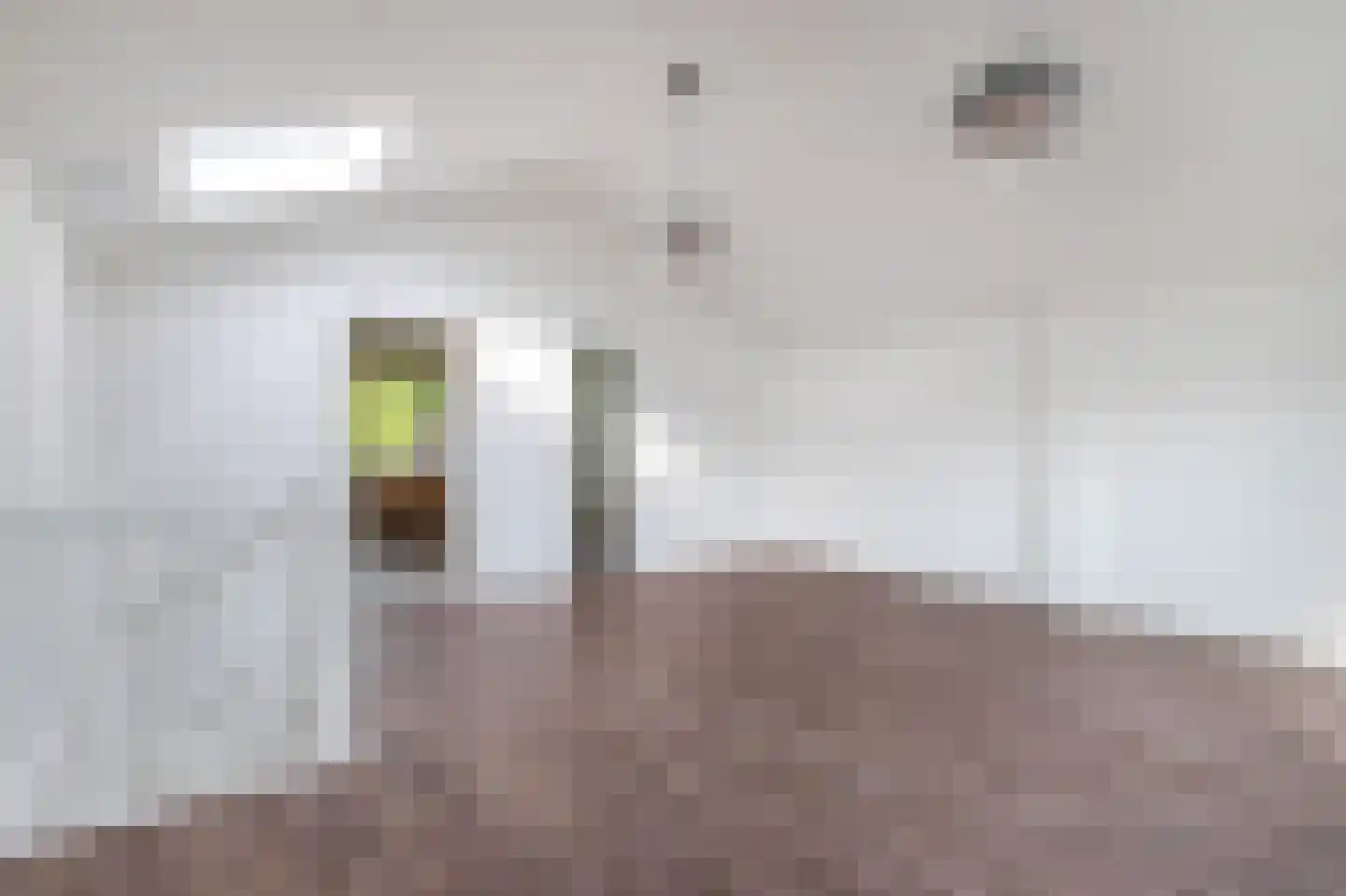 Klaverweg 44 Zaandam thumbnail 35