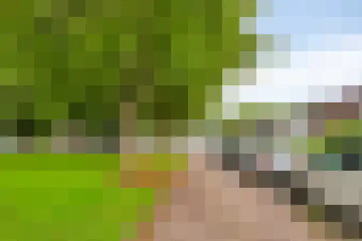 Klaverweg 44 Zaandam thumbnail 36