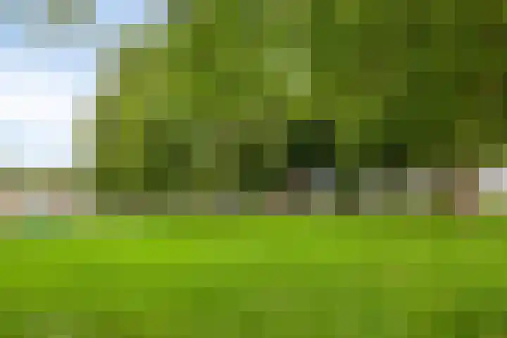 Klaverweg 44 Zaandam thumbnail 37
