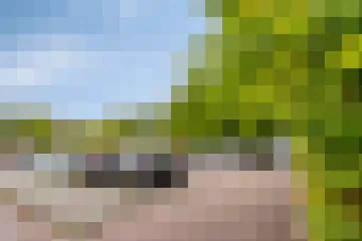 Klaverweg 44 Zaandam thumbnail 38
