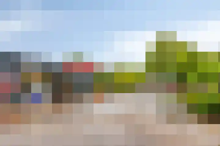 Klaverweg 44 Zaandam thumbnail 39