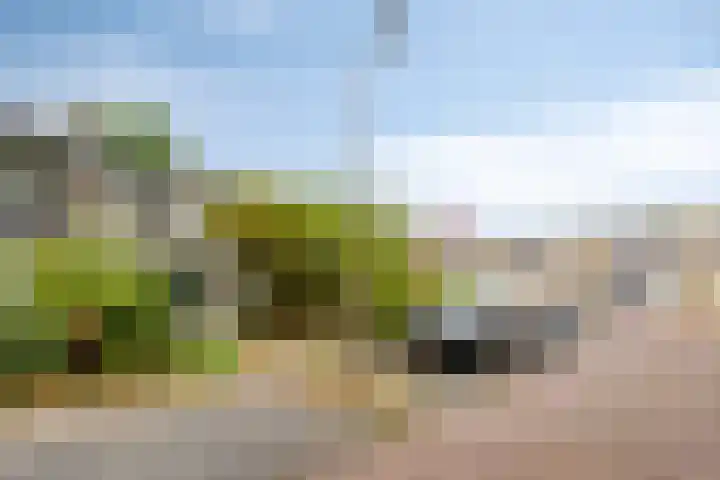 Klaverweg 44 Zaandam thumbnail 4