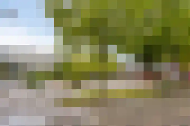 Klaverweg 44 Zaandam thumbnail 42