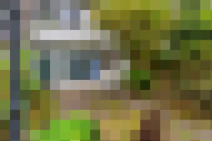 Klaverweg 44 Zaandam thumbnail 5