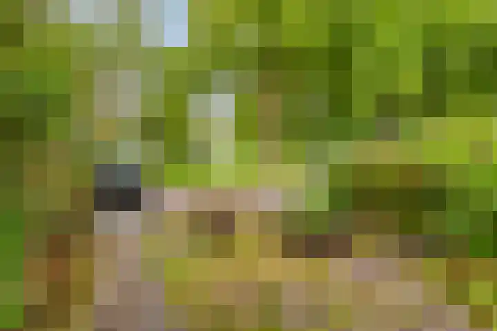 Klaverweg 44 Zaandam thumbnail 6