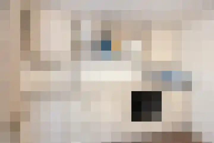 Klaverweg 47 Heerde thumbnail 37