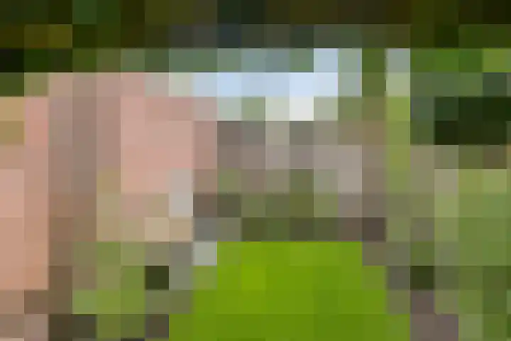Klaverweg 47 Heerde thumbnail 39