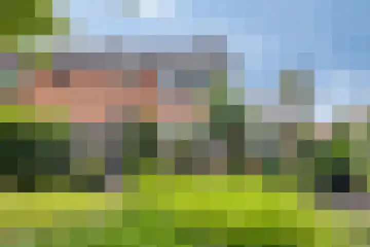 Klaverweg 47 Heerde thumbnail 4