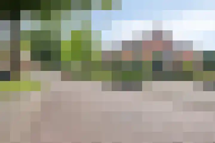 Klaverweg 47 Heerde thumbnail 43