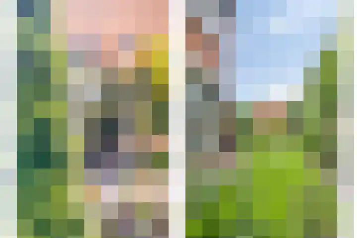 Klaverweg 47 Heerde thumbnail 5