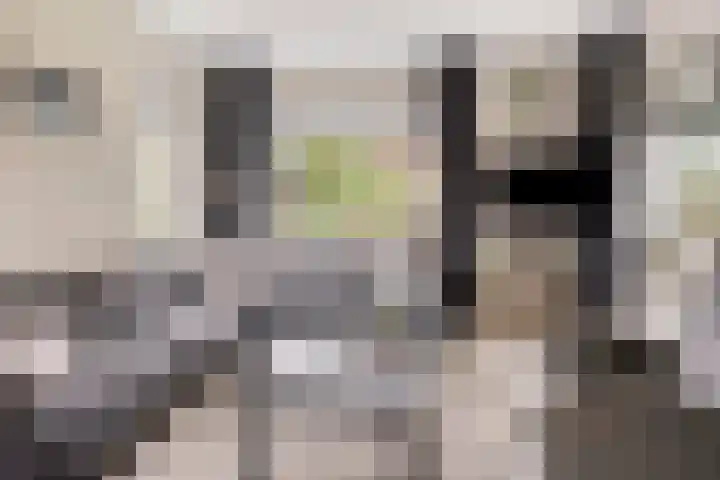 Klaverweg 47 Heerde thumbnail 8