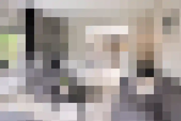 Klaverweg 47 Heerde thumbnail 9