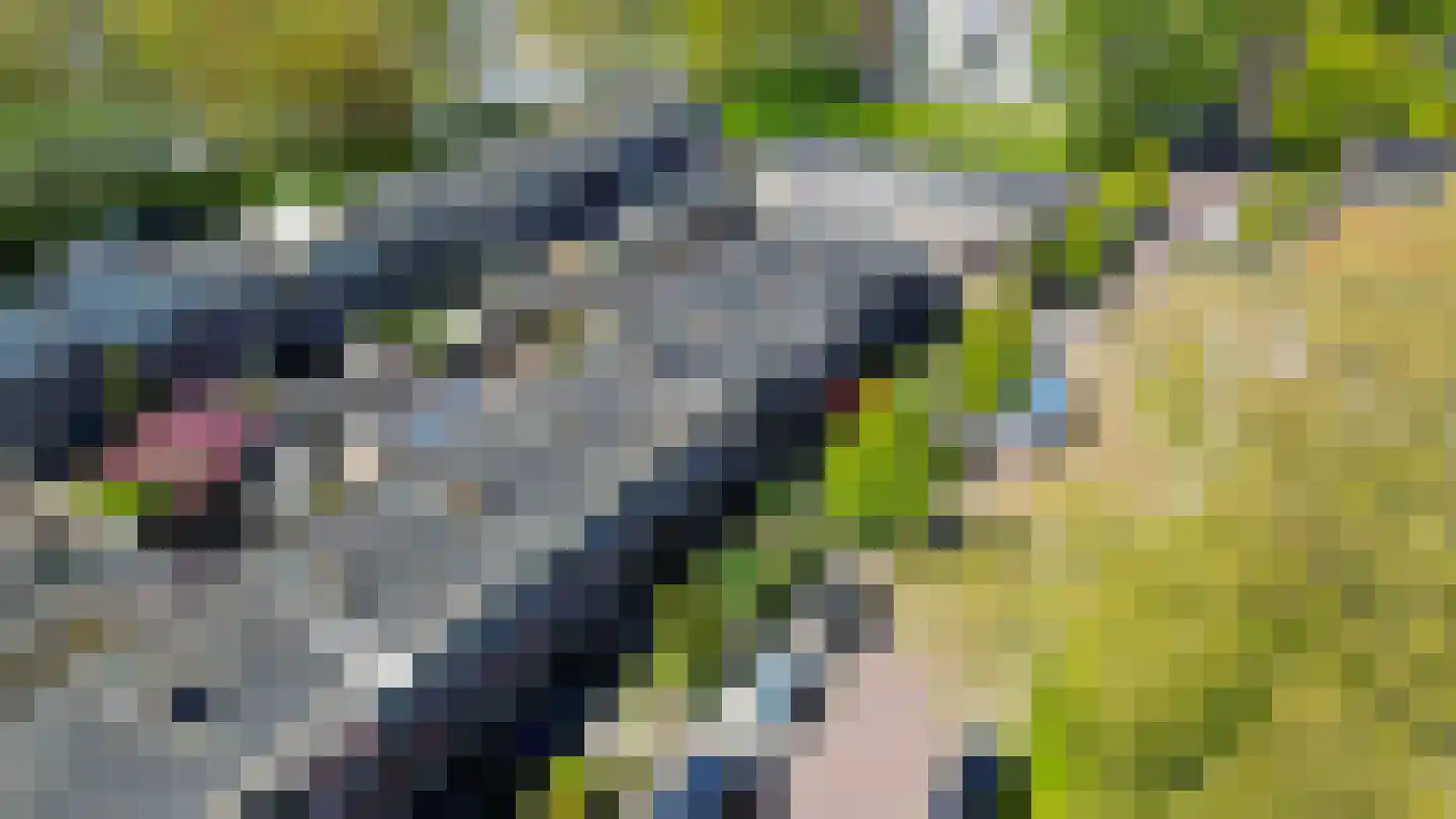Klaverweg 63 Zaandam thumbnail 35