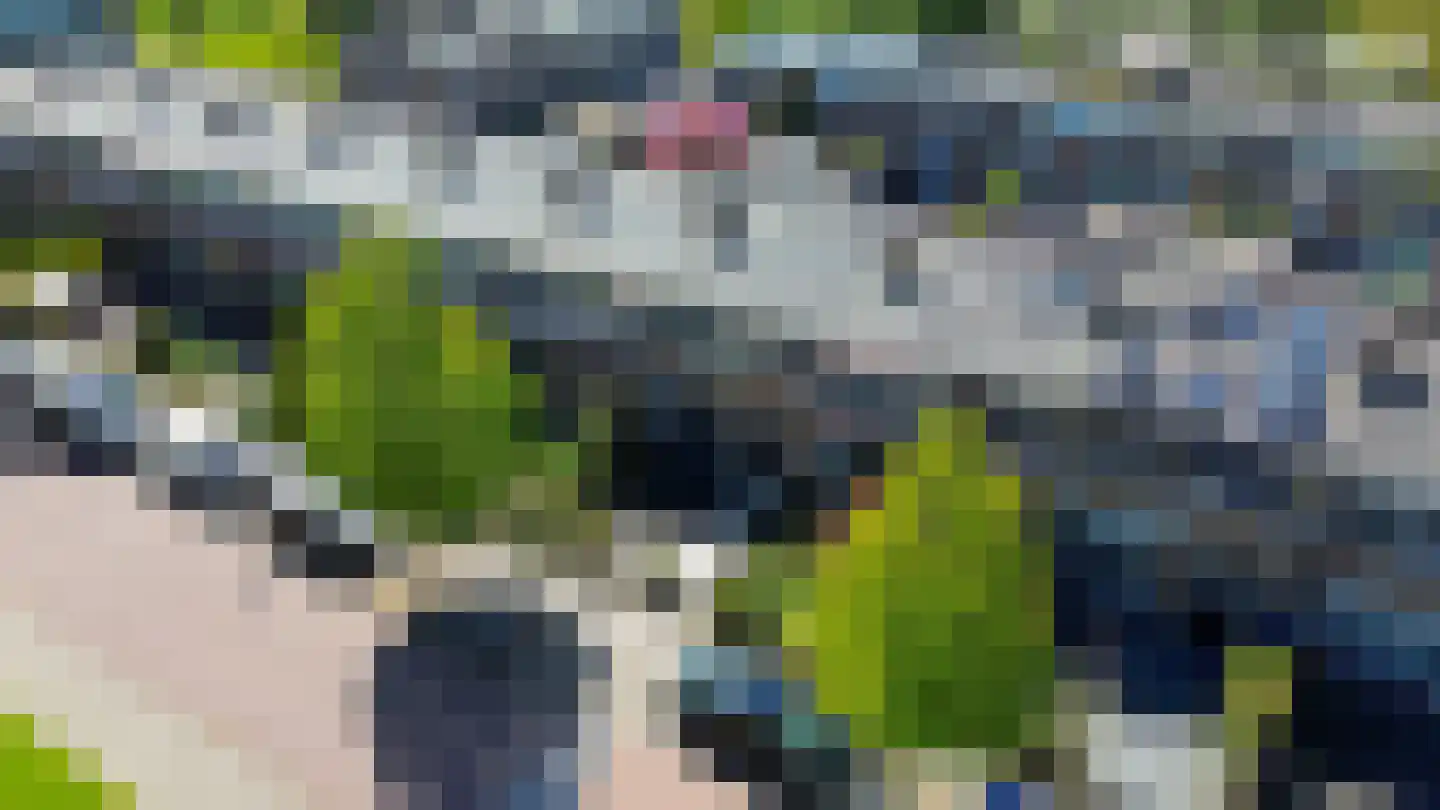 Klaverweg 63 Zaandam thumbnail 37