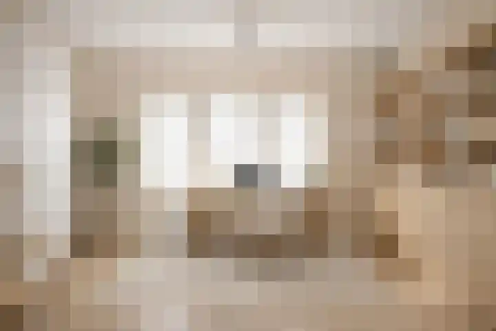 Klaverwei 1 Schijndel thumbnail 18