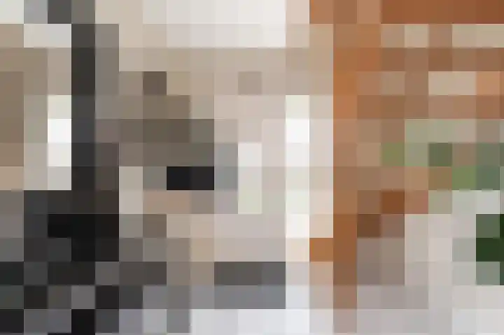 Klaverwei 1 Schijndel thumbnail 20