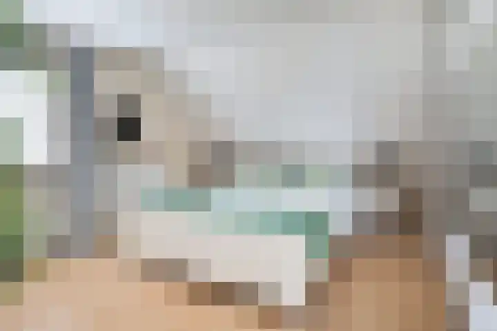 Klaverwei 1 Schijndel thumbnail 21