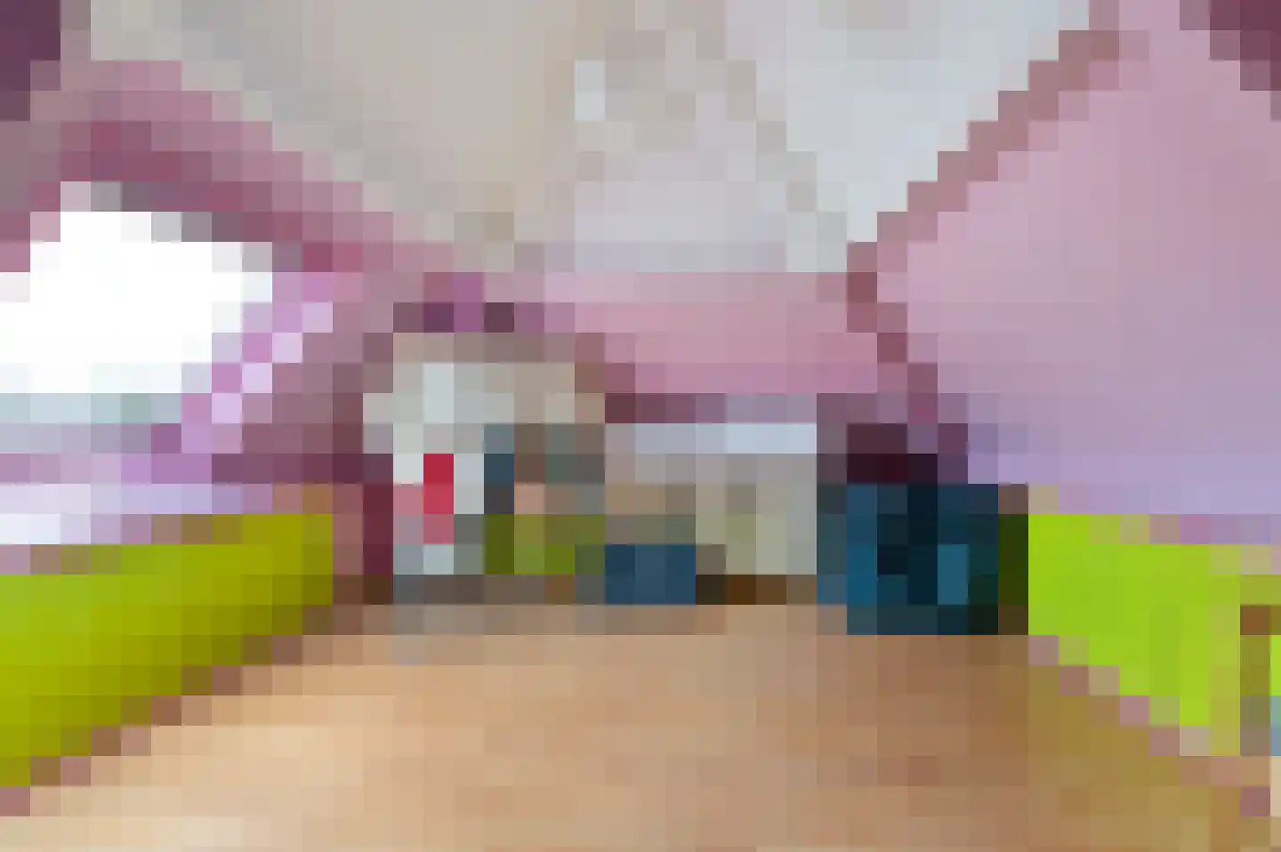 Klaverwei 1 Schijndel thumbnail 30