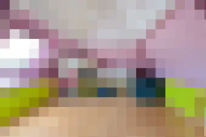 Klaverwei 1 Schijndel thumbnail 30