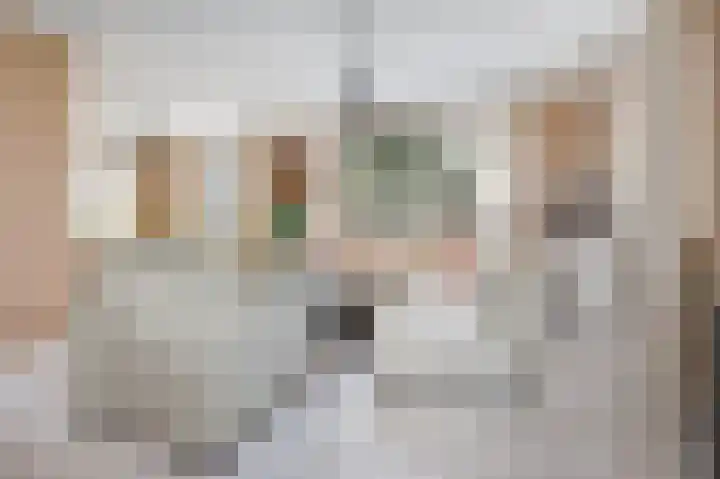 Klaverwei 1 Schijndel thumbnail 5