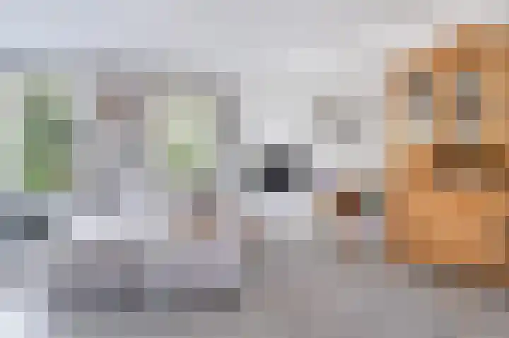 Klaverwei 4 Schijndel thumbnail 10