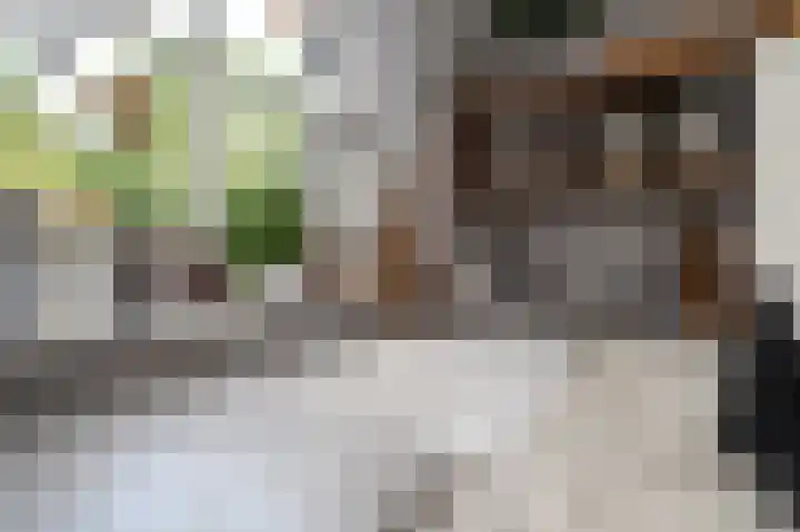Klaverwei 4 Schijndel thumbnail 16