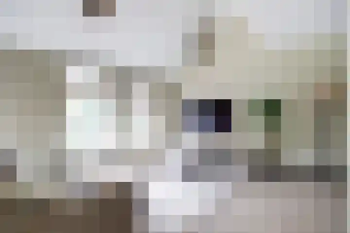Klaverweid 1 Enkhuizen thumbnail 16