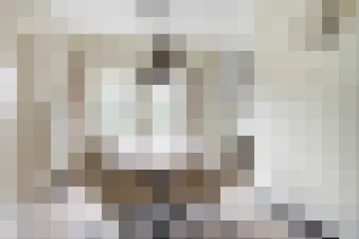 Klaverweid 1 Enkhuizen thumbnail 20
