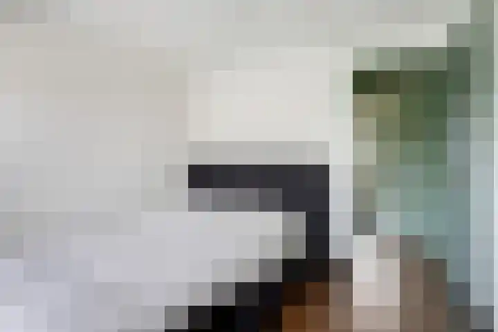 Klaverweid 1 Enkhuizen thumbnail 32
