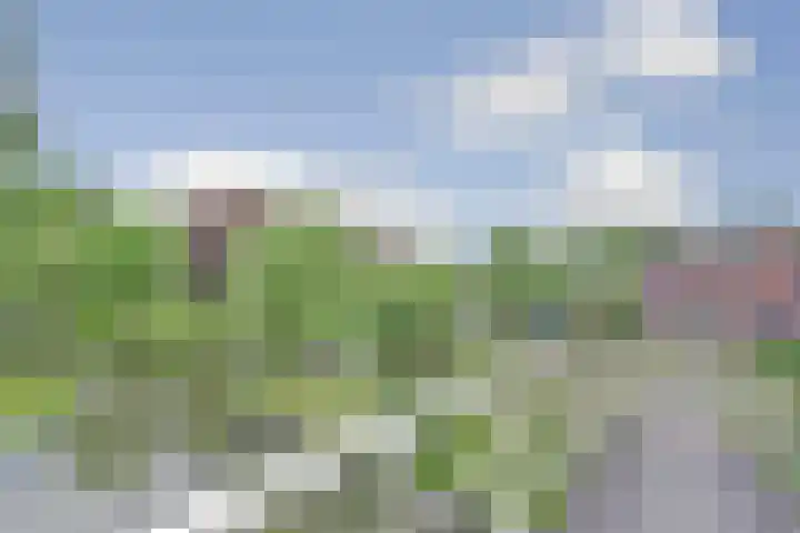 Klaverweid 1 Enkhuizen thumbnail 37