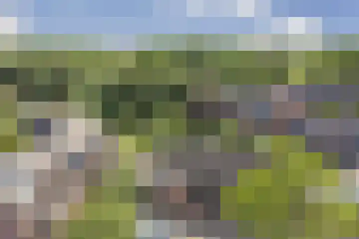 Klaverweid 1 Enkhuizen thumbnail 4