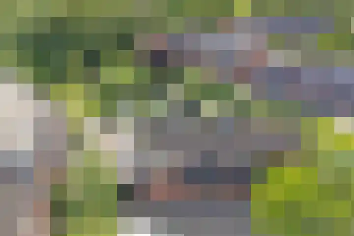 Klaverweid 1 Enkhuizen thumbnail 5