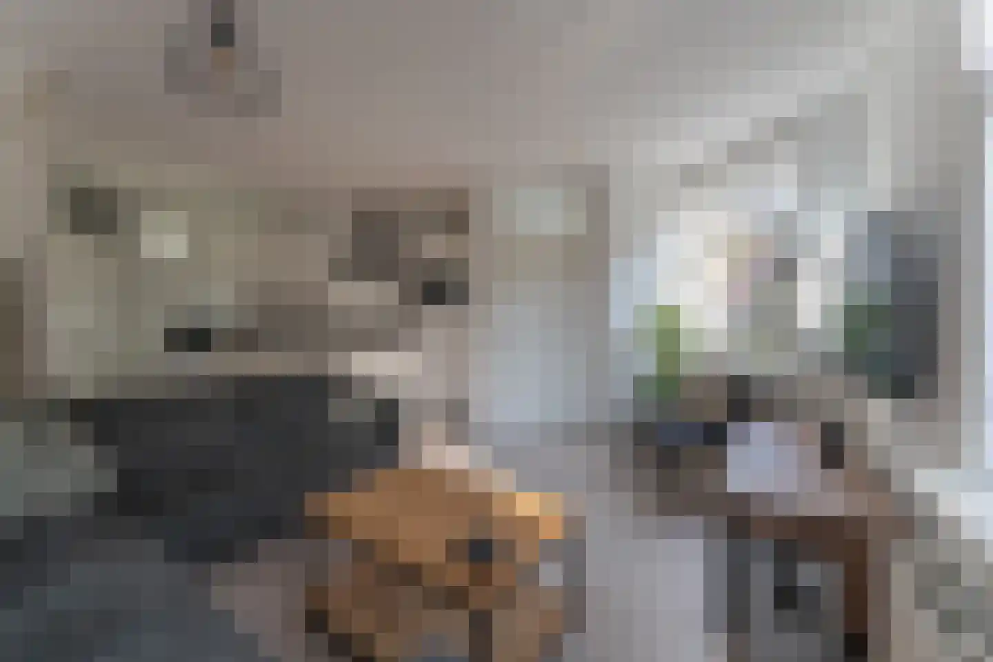 Klaverweid 11 a Enkhuizen thumbnail 10