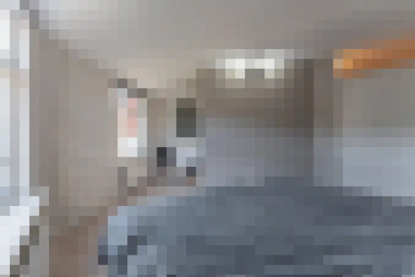 Klaverweid 11 a Enkhuizen thumbnail 20
