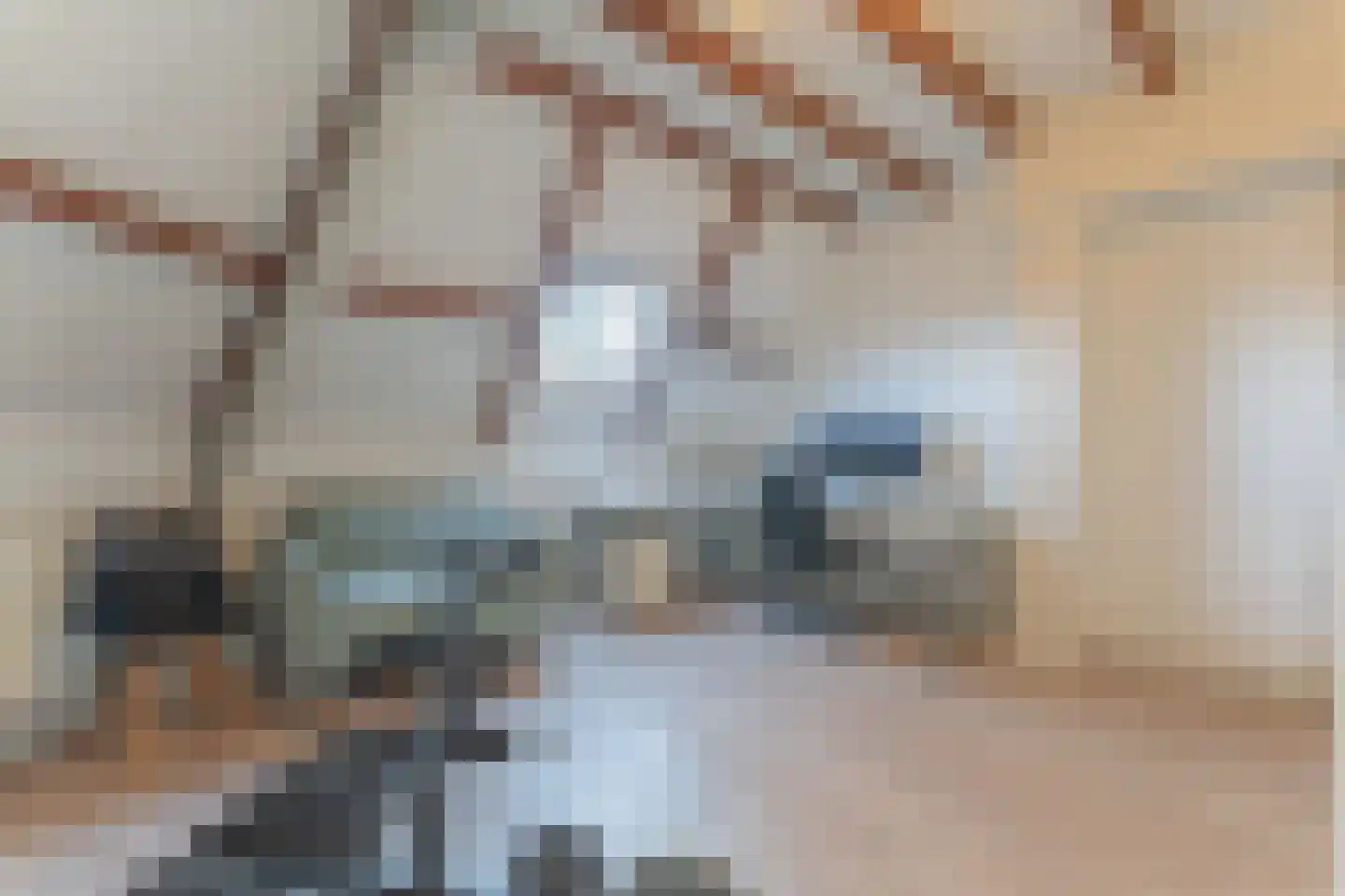 Klaverweid 11 a Enkhuizen thumbnail 7