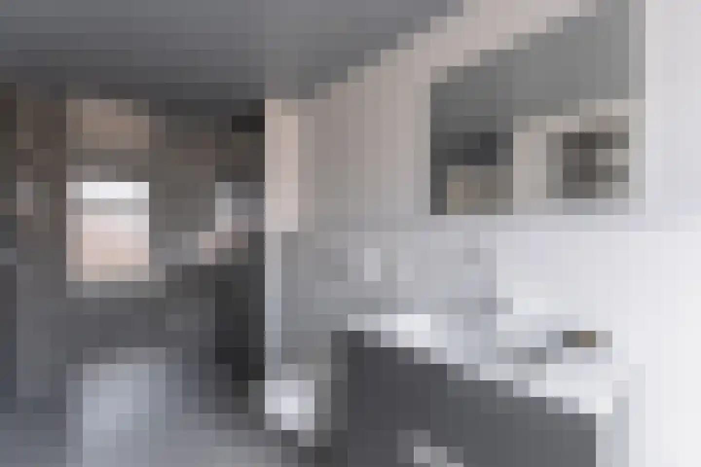 Klaverweid 15 Enkhuizen thumbnail 10