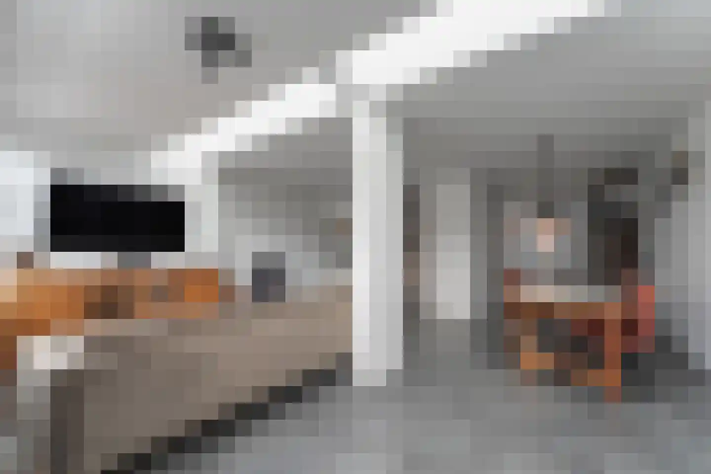Klaverweid 15 Enkhuizen thumbnail 7