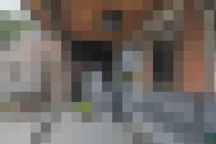 Klaverweid 17 Enkhuizen thumbnail 15