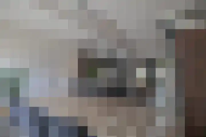 Klaverweid 17 Enkhuizen thumbnail 16